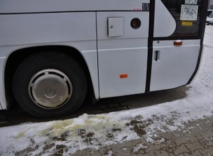 Zima. Autobus w kolorze białym. Pod otworem od wlewu paliwa, widoczna żółta palma na śniegu.