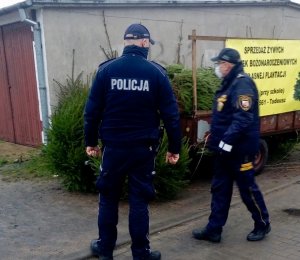 POLICJANCI I STRAZNICY MIEJSCY KONTROLUJA STOISKA Z CHOINKAMI