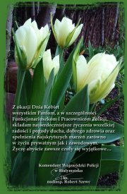 Na zdjęciu bukiet złożony z czterech białych tulipanów.