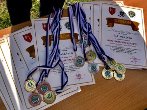 Medale oraz dyplomy leżące na stoliku.