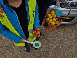 Chłopiec z policjantką, która trzyma koszyk z cytrynami i jabłkami przy radiowozie.