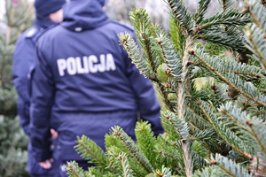 Policjanci i choinki