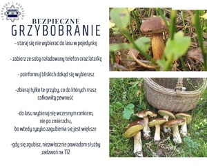 Bezpieczne grzybobranie