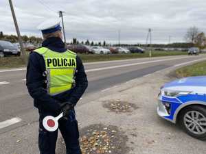 Policjant i radiowóz przy drodze