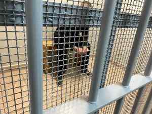 Mężczyzna siedzi za kratami