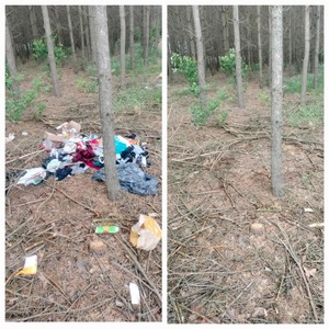 Śmieci wyrzucone w lesie. Obok zdjęcie uprzątniętych śmieci