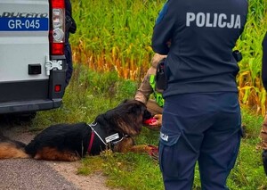 Policjantka, pies i karetka