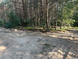 Uprzątnięty teren w lesie